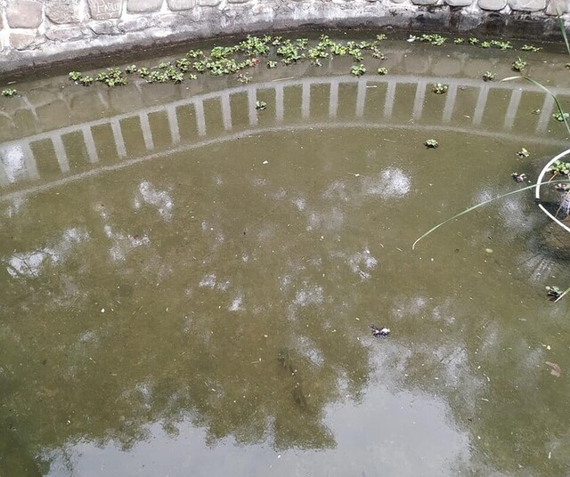 Parque de las Flores en Tarija, víctima del olvido y la burocracia