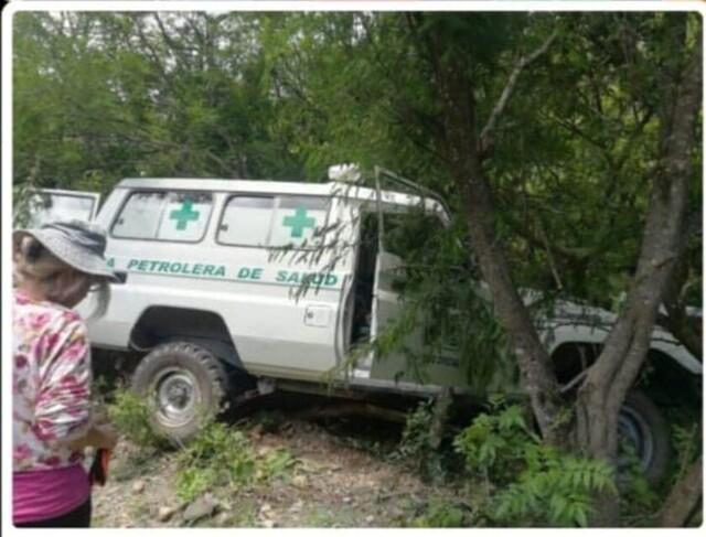 Tarija: Suman muertos y nadie regula presencia de animales en vías