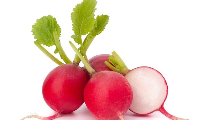 El rábano y sus beneficios
