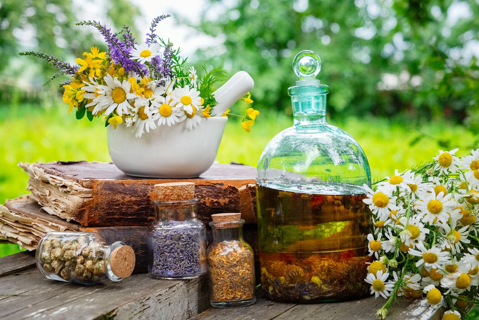 Las plantas y  la salud