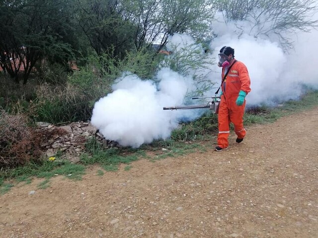 Municipio incrementa fumigaciones contra zancudos en zonas vulnerables de Tarija