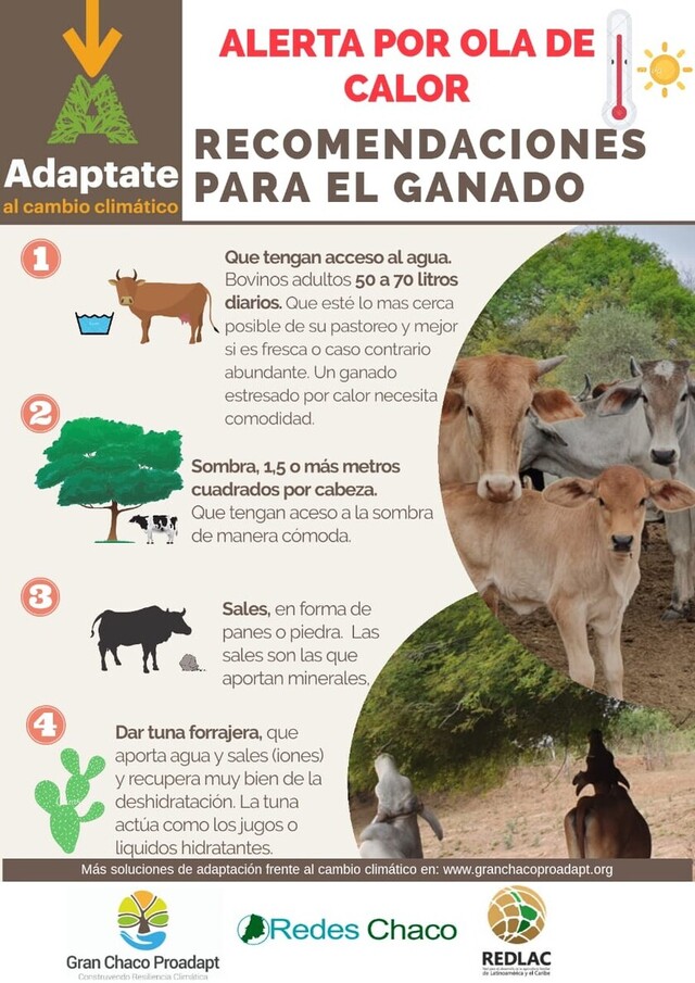 Alerta naranja por altas temperaturas en Tarija y 3 departamentos más