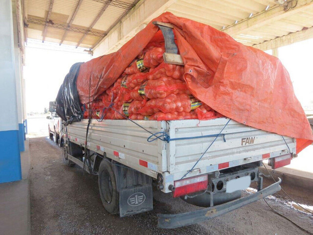 Instituciones certifican comercialización de cebolla