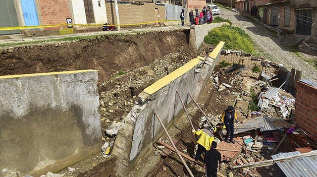 Langostas afectan a 3 comunidades de Villa Montes