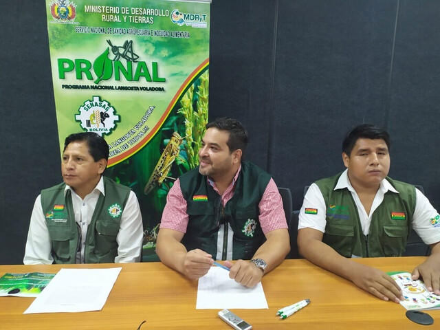 Senasag descarta cultivos afectados por langostas