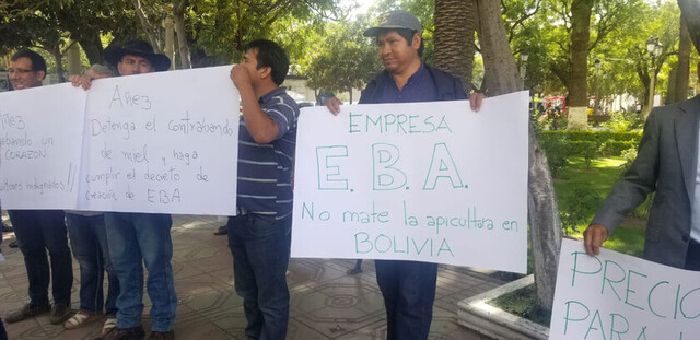 Apicultores no saben qué hacer con su producción