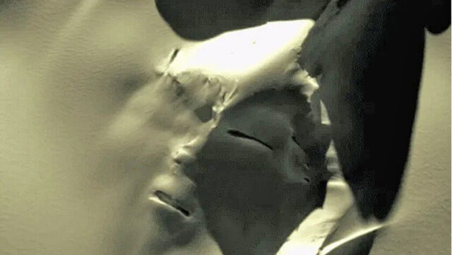 Ven escalofriante rostro en la Antártida