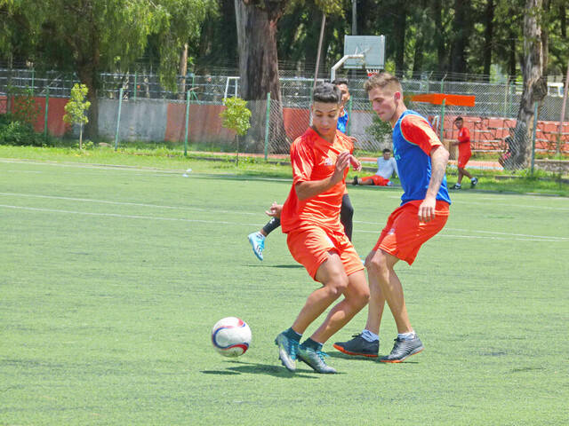 Ciclón recibe a Gimnasia de Jujuy en partido amistoso