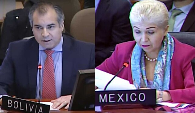 Bolivia en la OEA acusa a México de “intromisión” tras cuestionamientos al informe de fraude