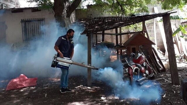 Movilizarán 200 personas para combatir el dengue