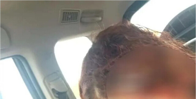 Secuestró a dos chicas y cortó a una con un hacha