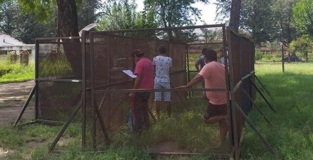 Encerraron en una jaula a infractores de cuarentena en Jujuy