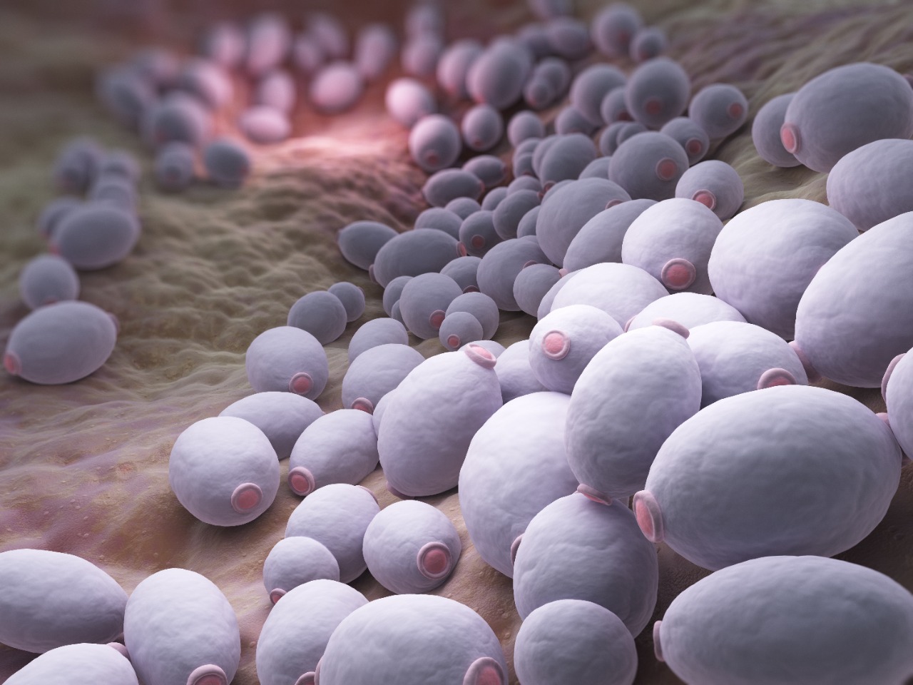 Cuidados para el sistema digestivo durante la cuarentena