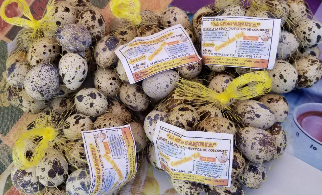 Granja de codorniz en Tarija niega cierre por cuarentena