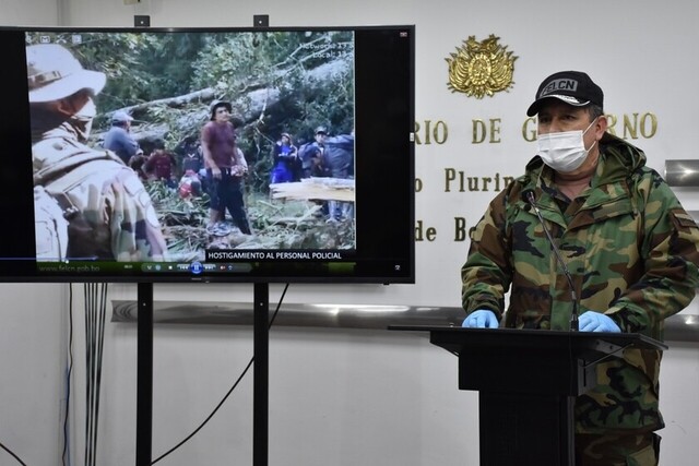 Destruyen más de 59 toneladas de marihuana