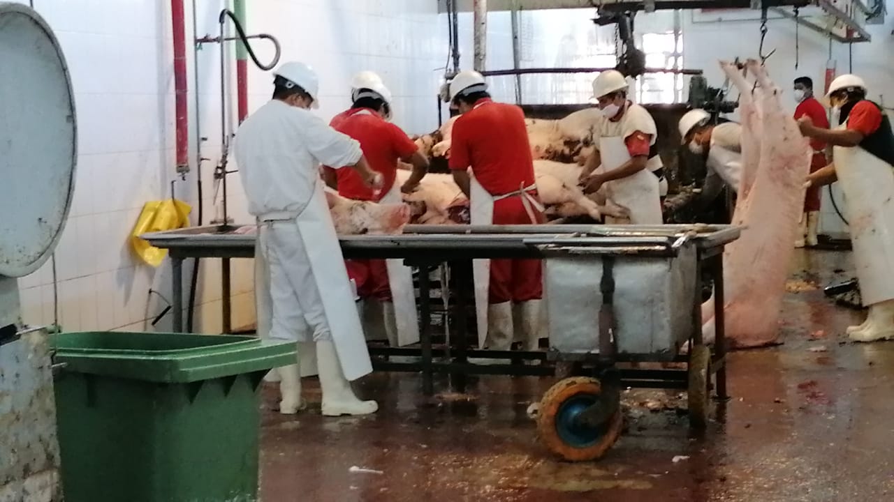 “Don Paco” dona carne de cerdo a la Alcaldía para familias necesitadas de Tarija
