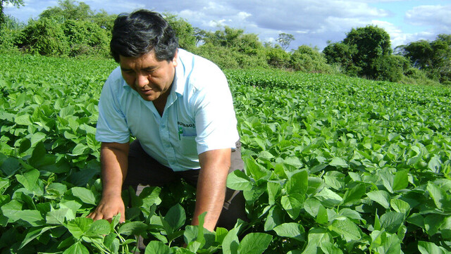 Recomiendan repensar la política agropecuaria para afrontar Covid