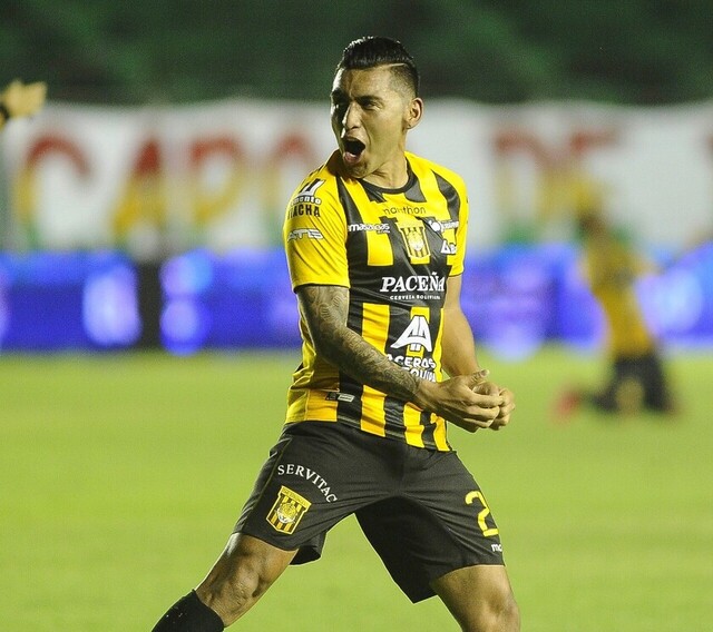 Más de 30 tarijeños juegan en la División Profesional