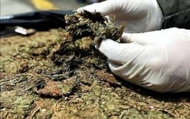 Delitos de narcotrafico ocupan el tercer lugar en la cuarentena en Tarija