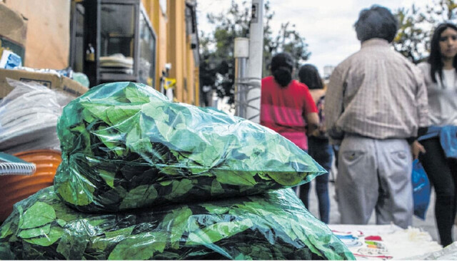 Digcoin asegura que llegará coca esta semana a Tarija