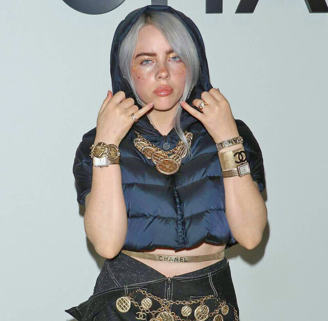 Billie Eilish  pide que se  aleje un fan