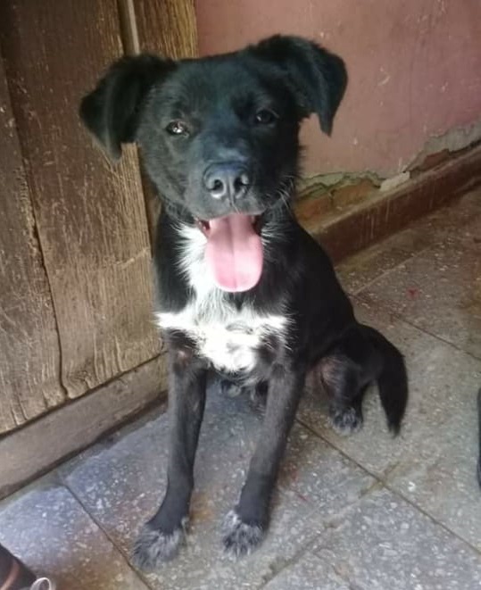 NEGRITO JODICHI con muchas ganas de vivir