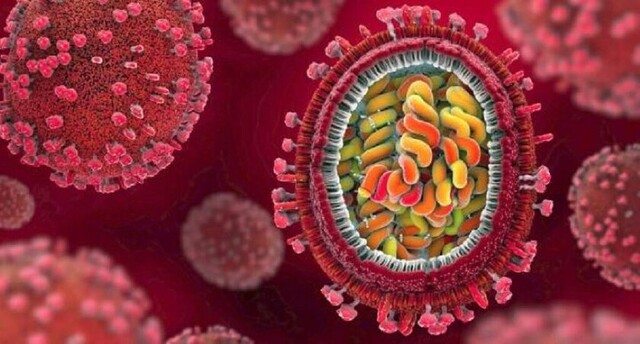 Bolivia iniciará tratamiento con plasma sanguíneo 'hiperinmune' en pacientes Covid