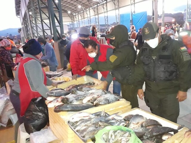 Detectan pasos ilegales para el comercio ilícito del pescado