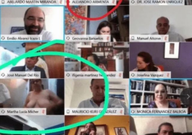 Una senadora  acabó en topless en sesión zoom