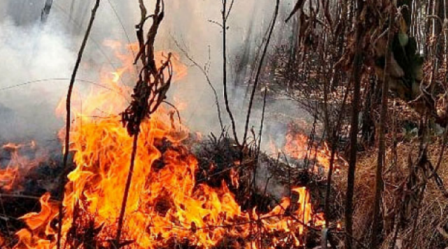 Bolivia acumuló en mayo 6.300 focos de calor