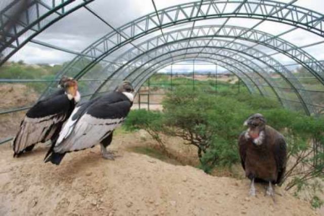 La crisis sanitaria no afectó  presupuesto del Bioparque 