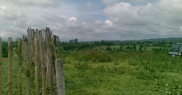 Denuncia a sus sobrinos  por lesiones  graves y leves