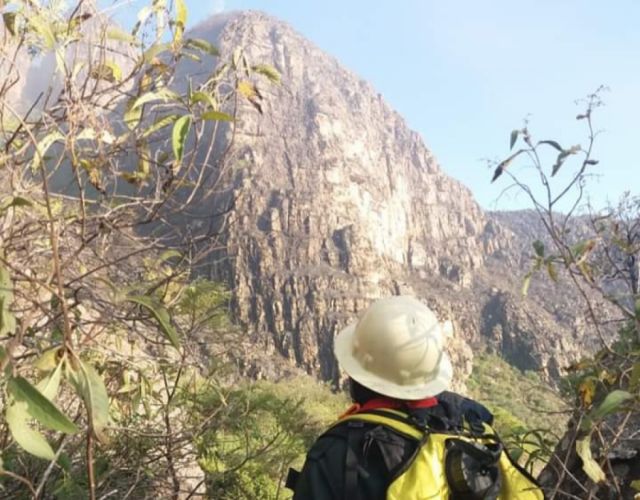 Controlan incendio en Cañas pero advierten riesgos