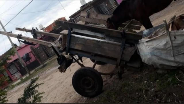 Dos mujeres entregaron a sus hijos violadores 