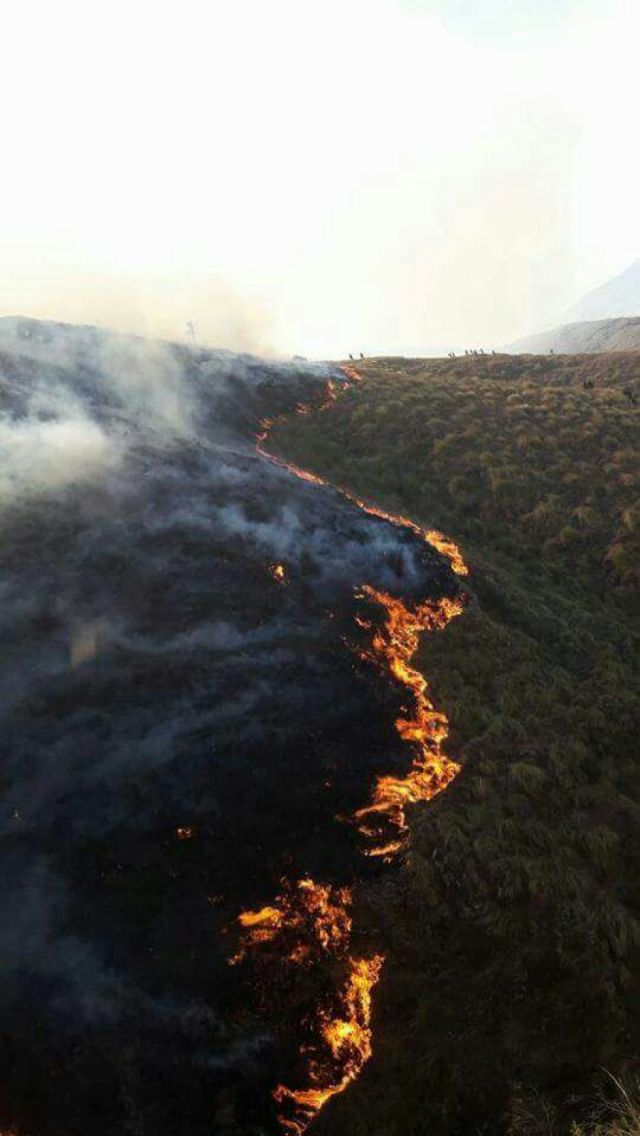 Chaqueos “imparables”, entre  la pandemia y el descuido