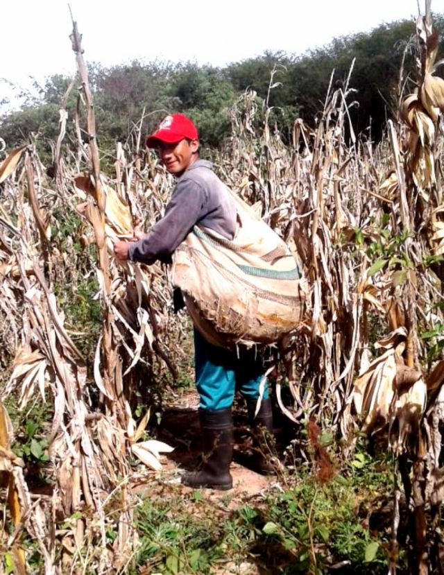 Las experiencias del ‘Chaqueño’ Silos en el paradisíaco lugar que eligió para pasar la cuarentena 