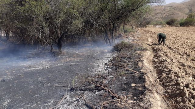En junio se registraron 652 focos de calor en 24 territorios indígenas y 32 áreas protegidas