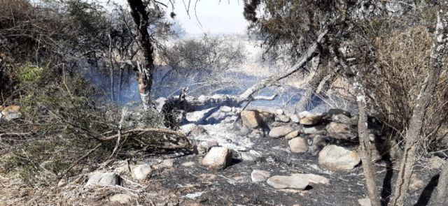 Cinco incendio pusieron en  emergencia a Bomberos