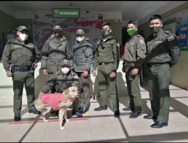 Patitas, el acompañante de los policías de la EPI Senac