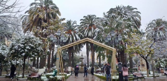 Nevada en el centro de la ciudad