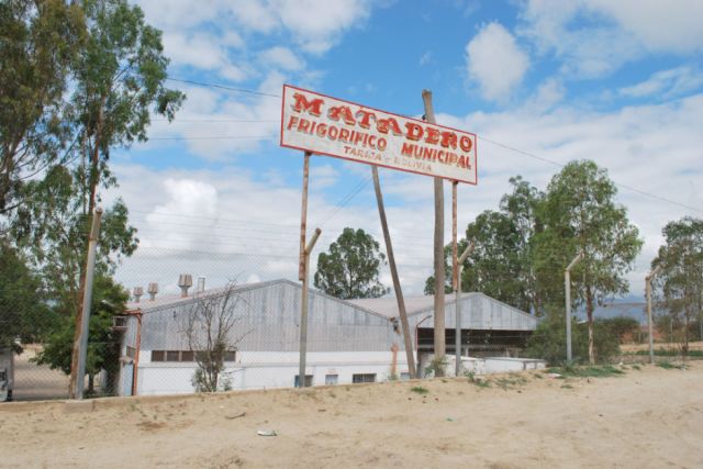 La faena en el Matadero de Tarija paró, usuarios cuestionan origen de carne criolla 