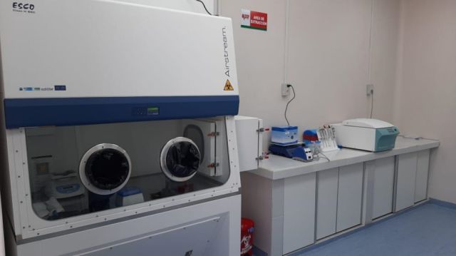 17 nuevos casos y 5 decesos por coronavirus en Tarija