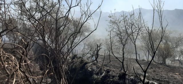 Se queman cerca de 10 hectáreas en la comunidad de Guerrahuayco-Tarija
