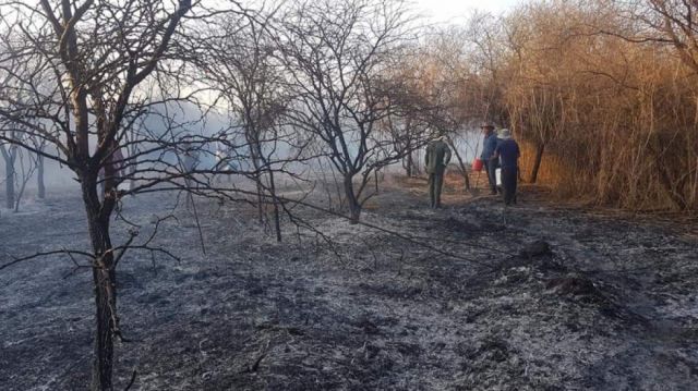 Controlan incendio en Monte Méndez límite con Monte Cercado