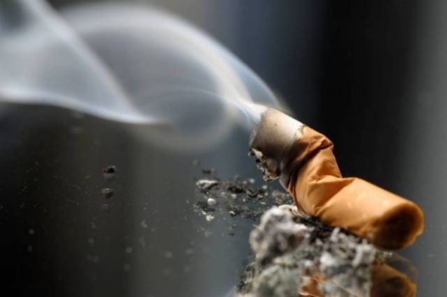 Así afecta el tabaco al medio ambiente