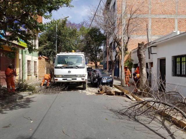 Setar afirma que todos los barrios cuentan con luz tras ventarrón