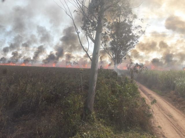 Reportan incendio en la comunidad de Arrozales en Bermejo-Tarija
