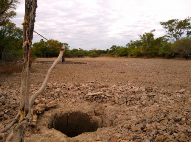 Prevén perforar 155 pozos para amortiguar la sequía 
