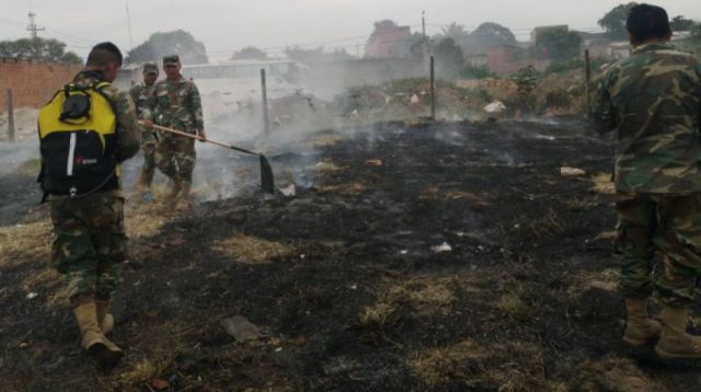 Activistas: el agronegocio amenaza bosques del país