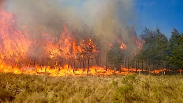 Áñez anuncia abrogación de DS 3973 que permite quemas y desmonte en Santa Cruz y Beni